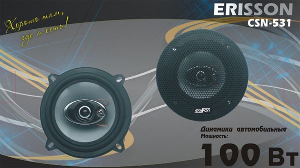 Erisson CSN-531. ����������� �������������� CSN-531.